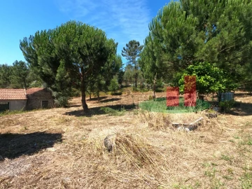 Moradia T1 para Venda em Asseiceira