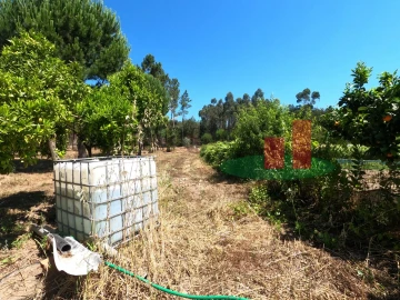 Moradia T1 para Venda em Asseiceira