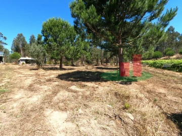 Moradia T1 para Venda em Asseiceira