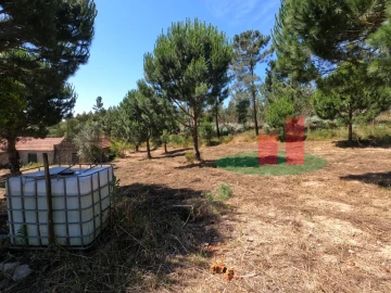 Moradia T1 para Venda em Asseiceira