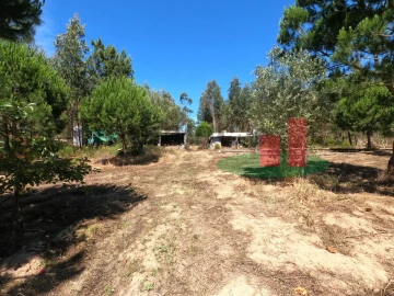 Moradia T1 para Venda em Asseiceira