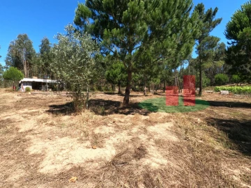 Moradia T1 para Venda em Asseiceira