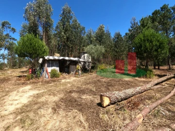 Moradia T1 para Venda em Asseiceira