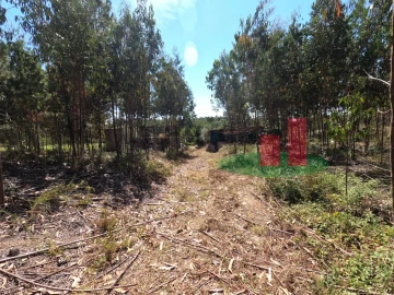 Moradia T1 para Venda em Asseiceira