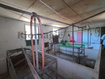 Moradia T1 para Venda em Asseiceira