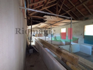 Moradia T1 para Venda em Asseiceira