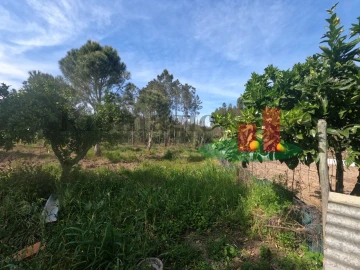 Moradia T1 para Venda em Asseiceira