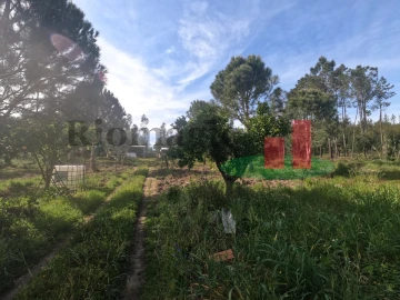 Moradia T1 para Venda em Asseiceira