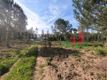 Moradia T1 para Venda em Asseiceira