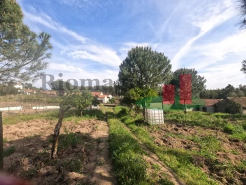 Moradia T1 para Venda em Asseiceira