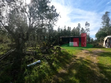 Moradia T1 para Venda em Asseiceira