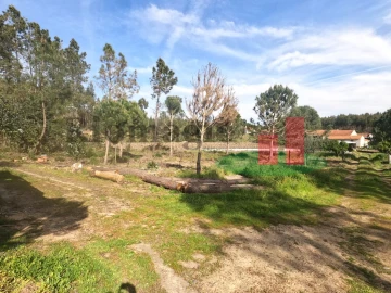 Moradia T1 para Venda em Asseiceira