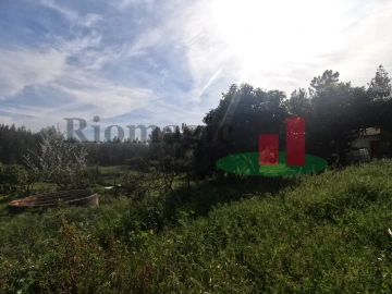 Moradia T1 para Venda em Asseiceira