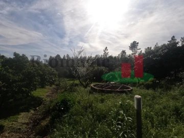 Moradia T1 para Venda em Asseiceira