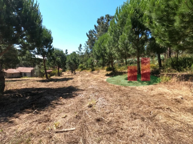 Moradia T1 para Venda em Asseiceira Foto 15