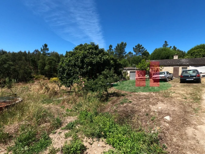 Moradia T1 para Venda em Asseiceira Foto 20