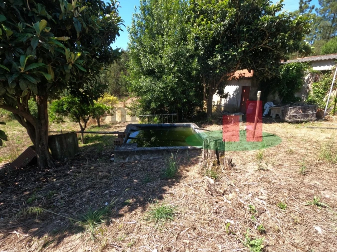 Moradia T1 para Venda em Asseiceira Foto 21