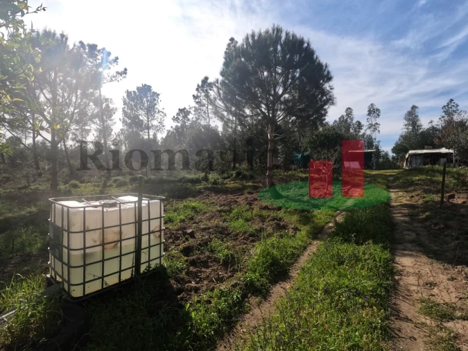 Moradia T1 para Venda em Asseiceira Foto 62