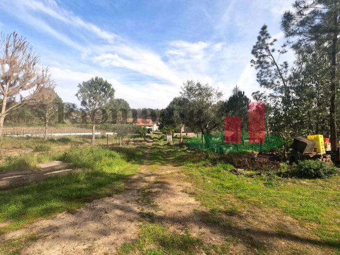 Moradia T1 para Venda em Asseiceira Foto 70