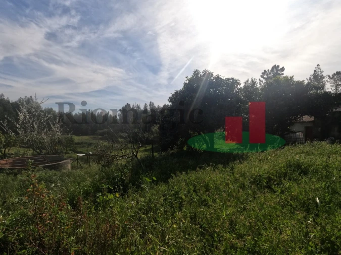 Moradia T1 para Venda em Asseiceira Foto 74