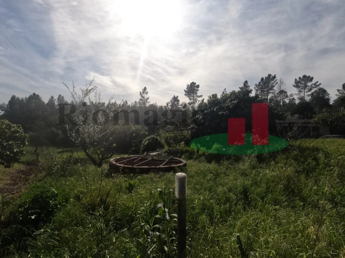 Moradia T1 para Venda em Asseiceira Foto 76