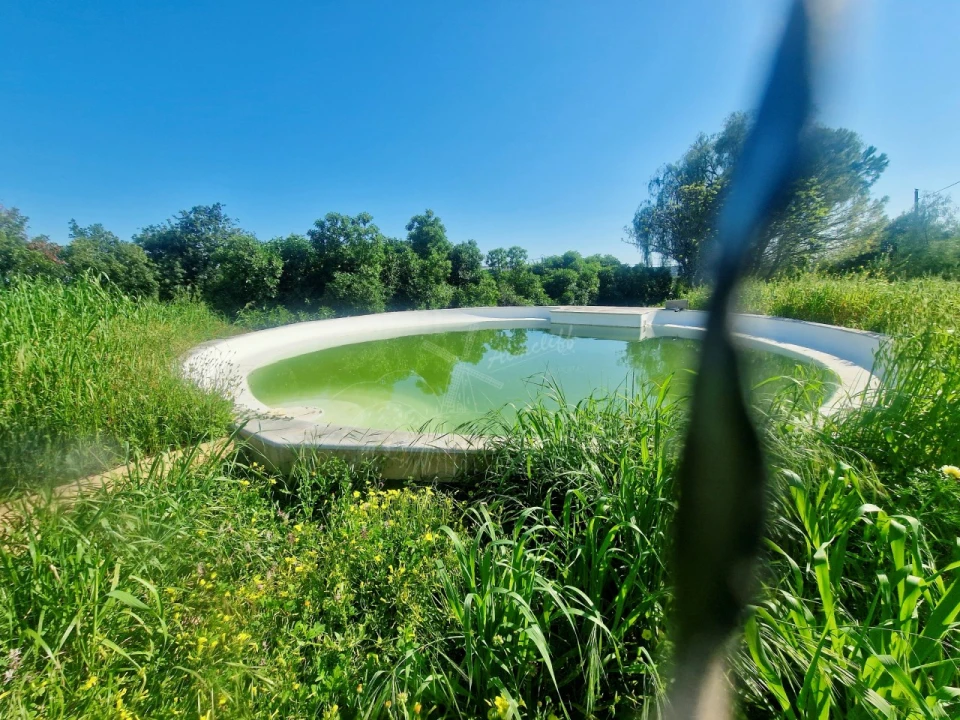 Quinta T7 para Venda em Moncarapacho e Fuseta Foto 11