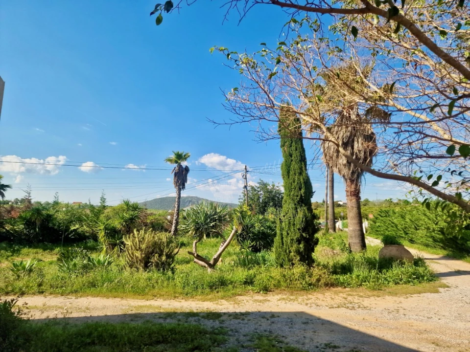 Quinta T7 para Venda em Moncarapacho e Fuseta Foto 14
