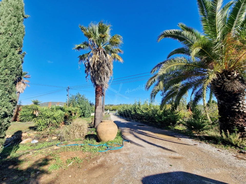 Quinta T7 para Venda em Moncarapacho e Fuseta Foto 18