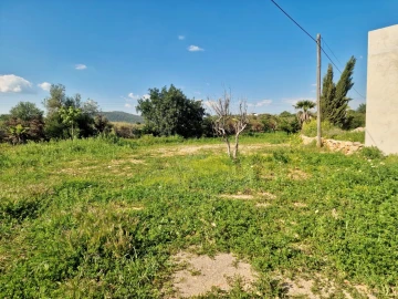 Quinta T7 para Venda em Moncarapacho e Fuseta