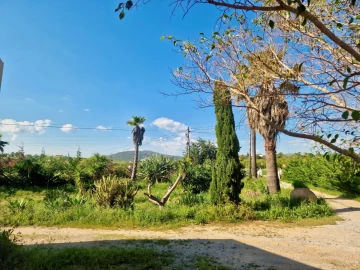Quinta T7 para Venda em Moncarapacho e Fuseta