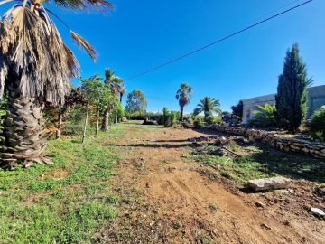 Quinta T7 para Venda em Moncarapacho e Fuseta