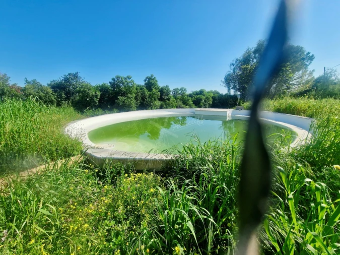 Quinta T7 para Venda em Moncarapacho e Fuseta Foto 11