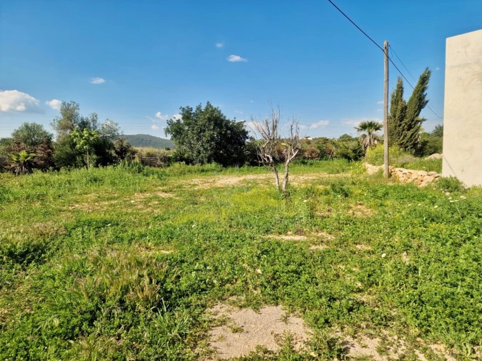 Quinta T7 para Venda em Moncarapacho e Fuseta Foto 13