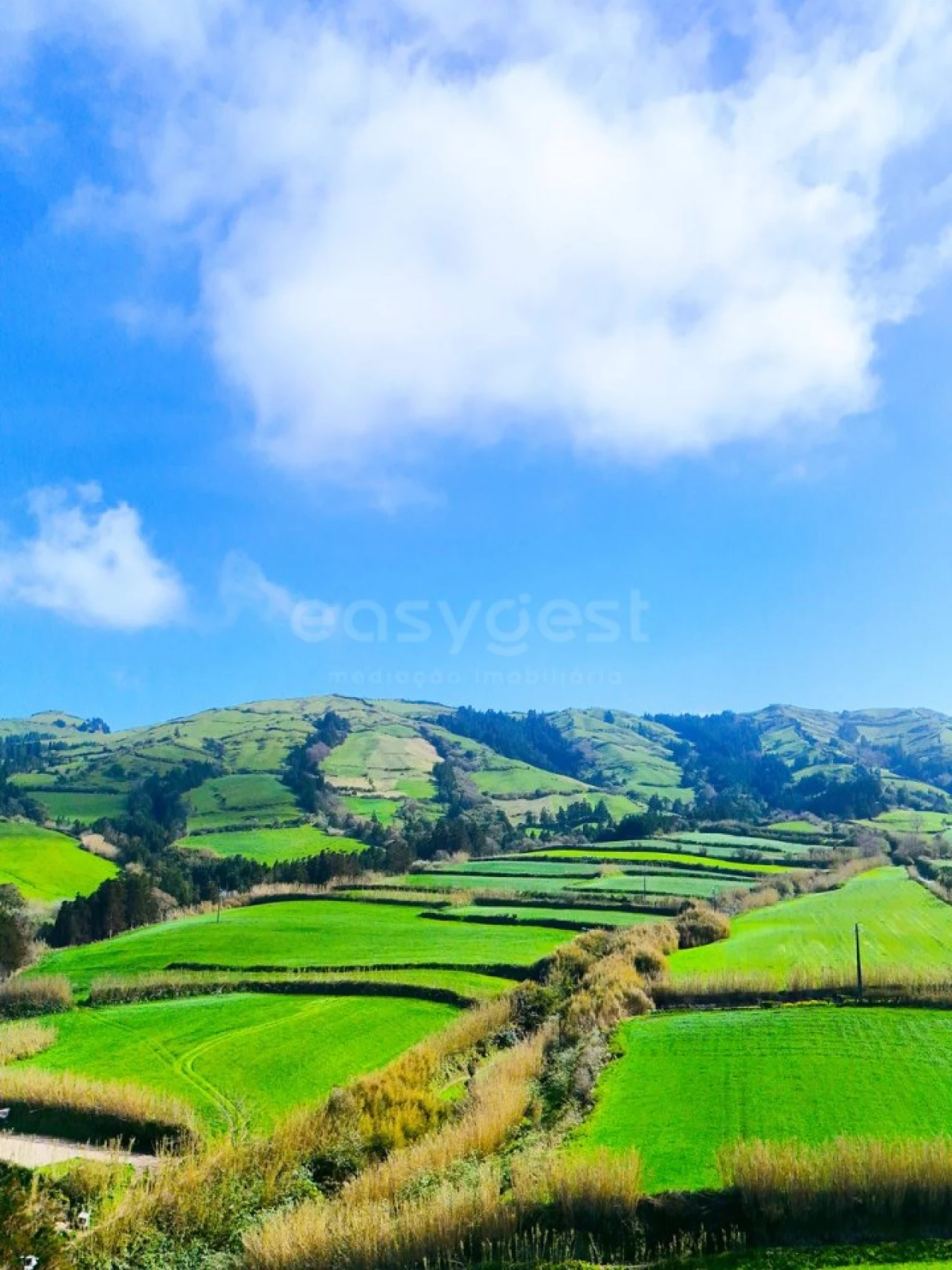 Terreno para Venda em Pilar da Bretanha Foto 17