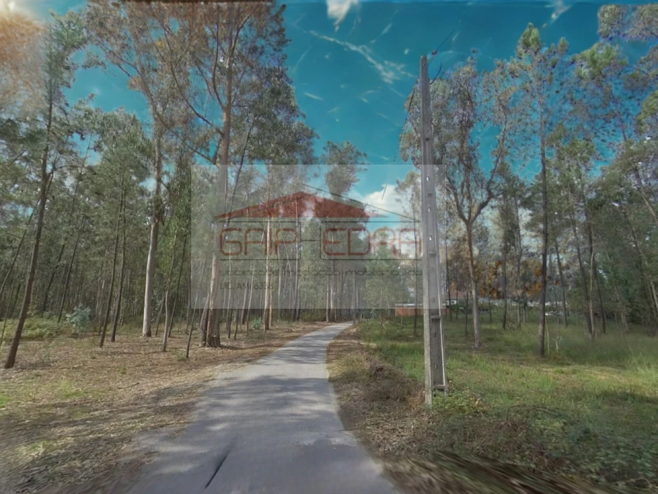 Terreno Agricola ou Rústico para Venda em Fornelos e Queijada Foto 3