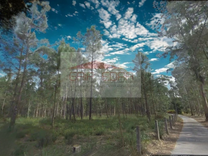 Terreno Agricola ou Rústico para Venda em Fornelos e Queijada Foto 4