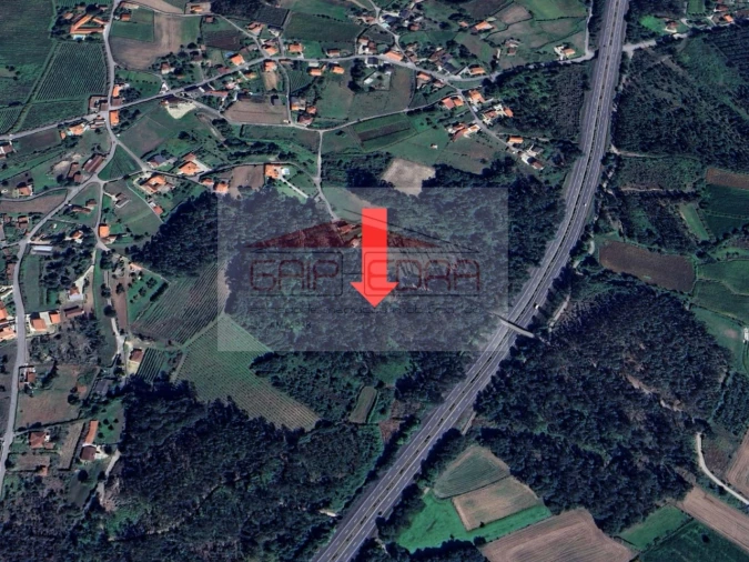 Terreno Agricola ou Rústico para Venda em Fornelos e Queijada Foto 7