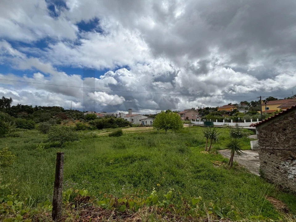 Moradia T1 para Venda em Olalhas Foto 23