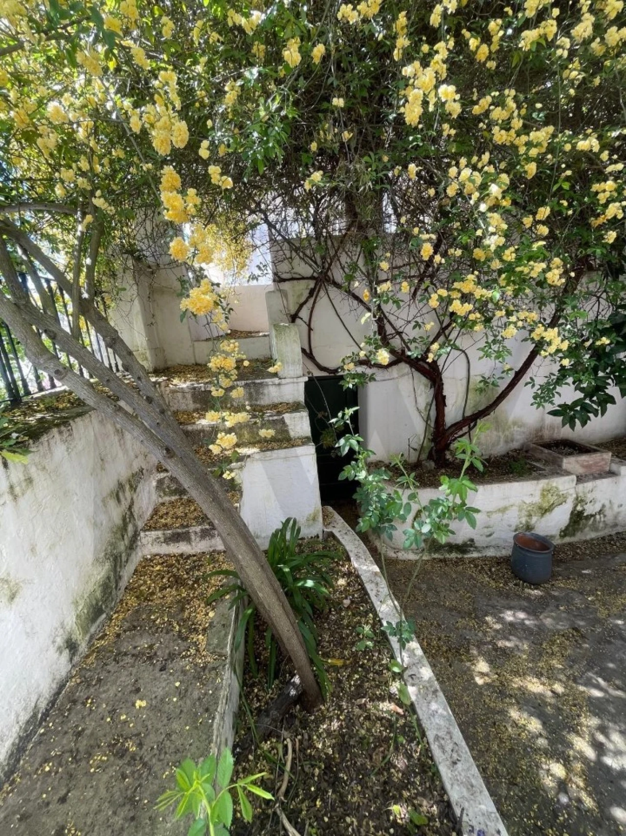 Moradia T3 para Venda em São Vicente e Ventosa Foto 19