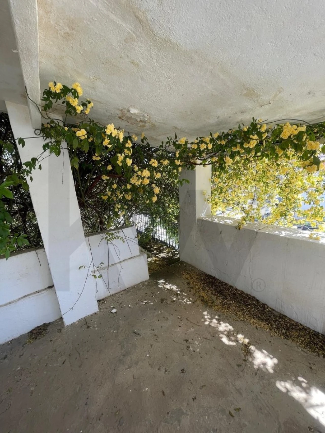 Moradia T3 para Venda em São Vicente e Ventosa Foto 23