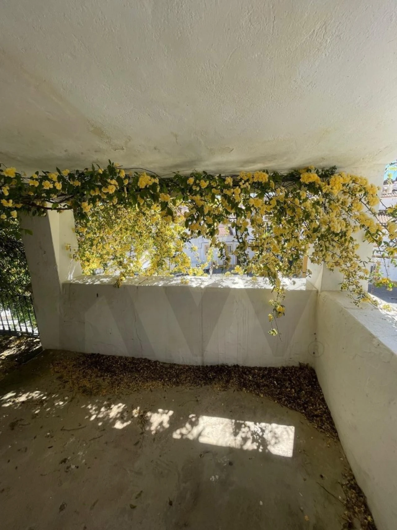 Moradia T3 para Venda em São Vicente e Ventosa Foto 24