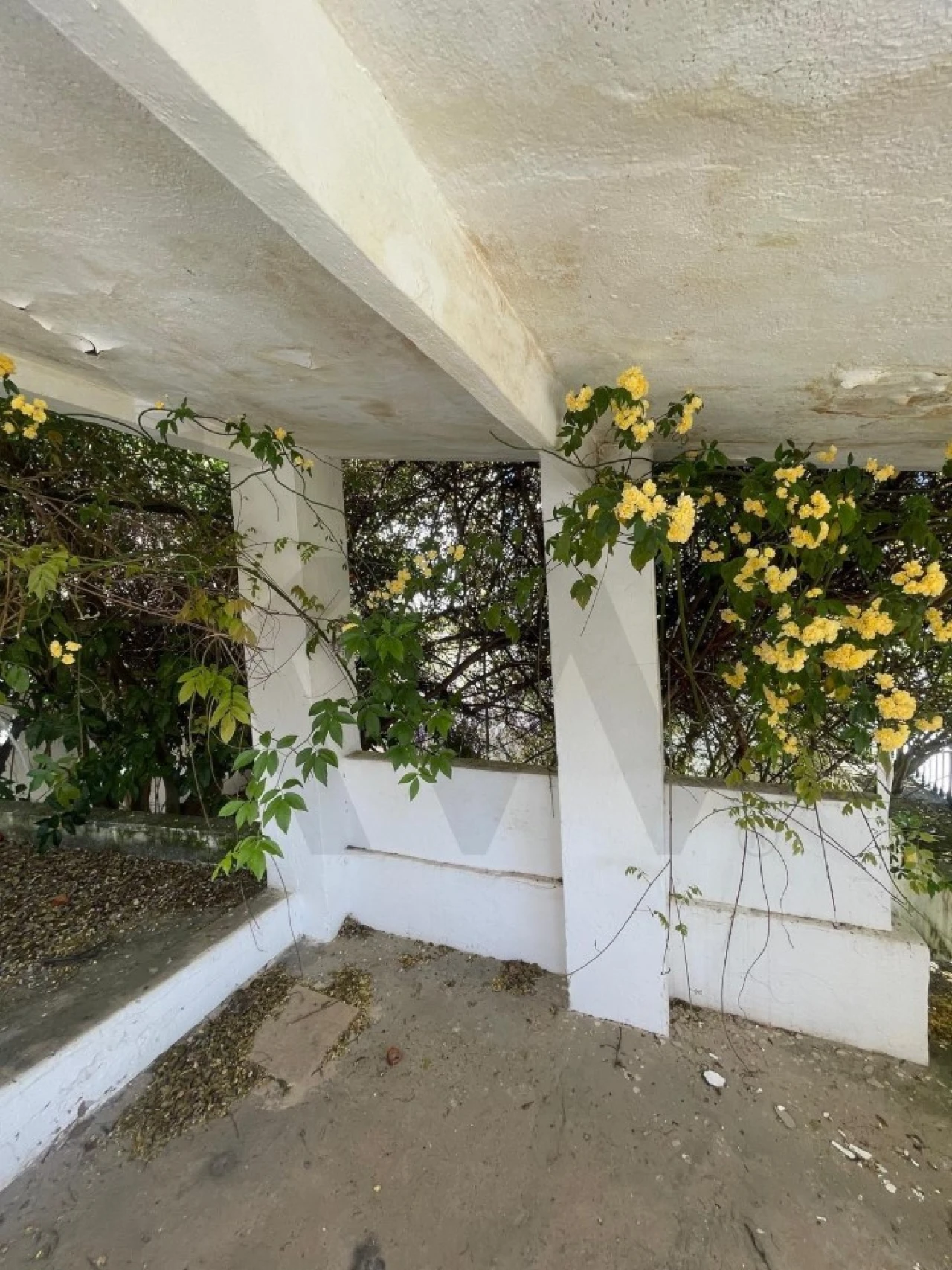 Moradia T3 para Venda em São Vicente e Ventosa Foto 26