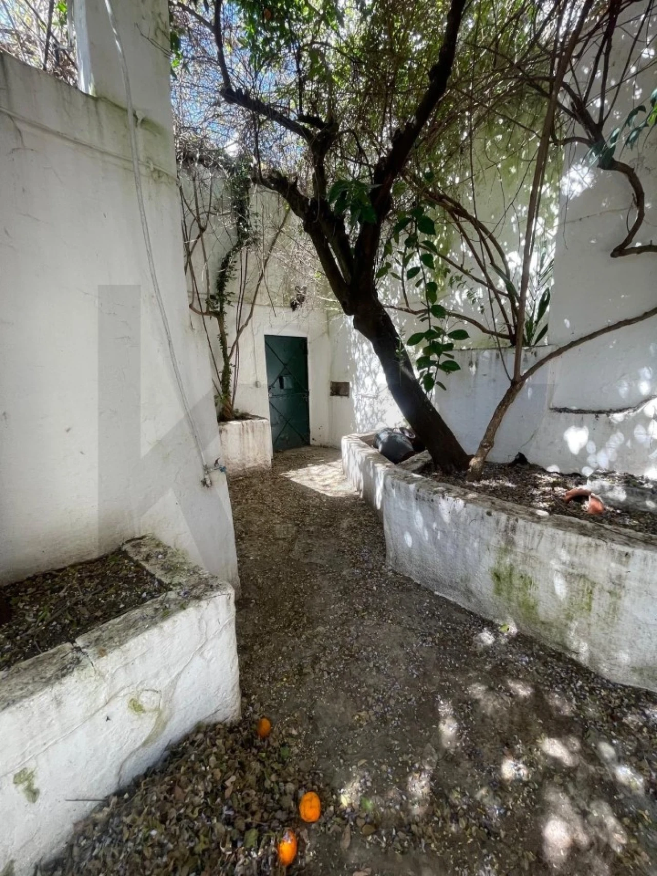 Moradia T3 para Venda em São Vicente e Ventosa Foto 30