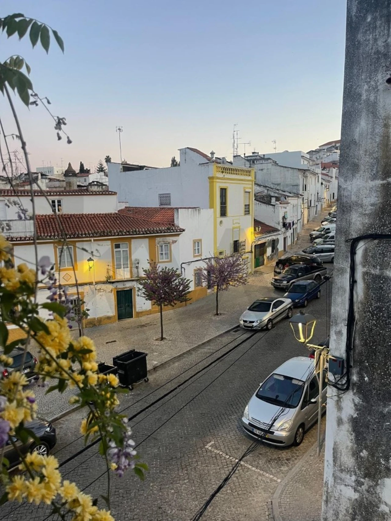 Moradia T3 para Venda em São Vicente e Ventosa Foto 33