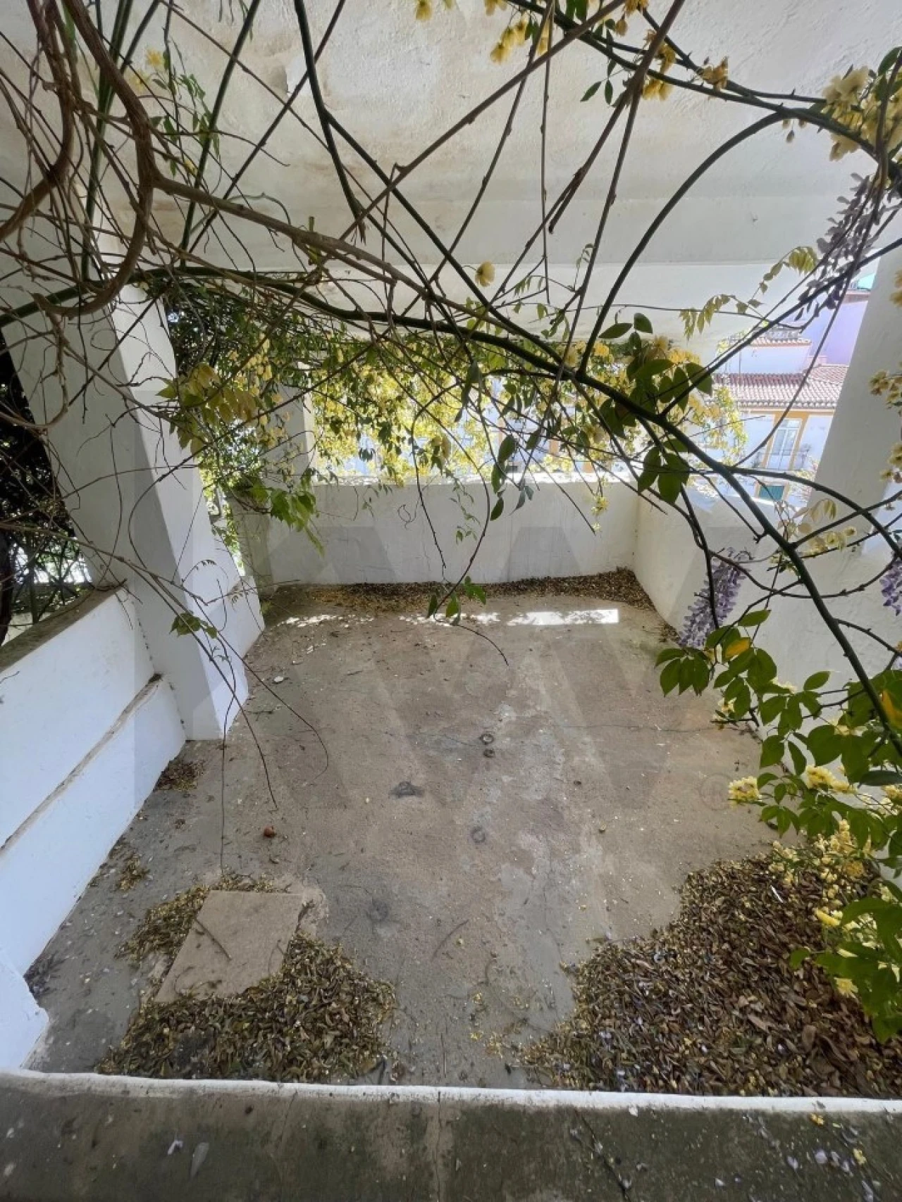 Moradia T3 para Venda em São Vicente e Ventosa Foto 38