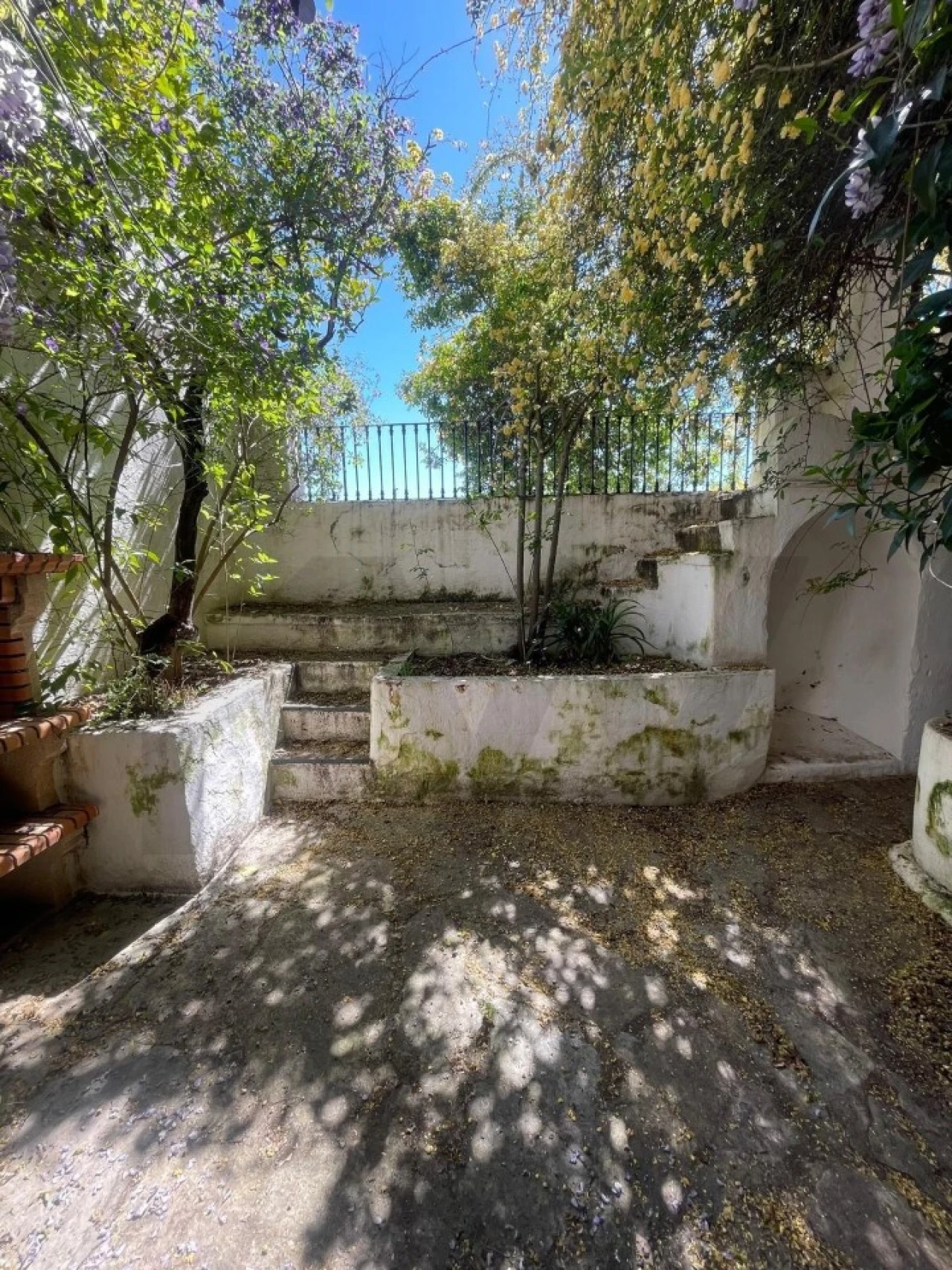 Moradia T3 para Venda em São Vicente e Ventosa Foto 40