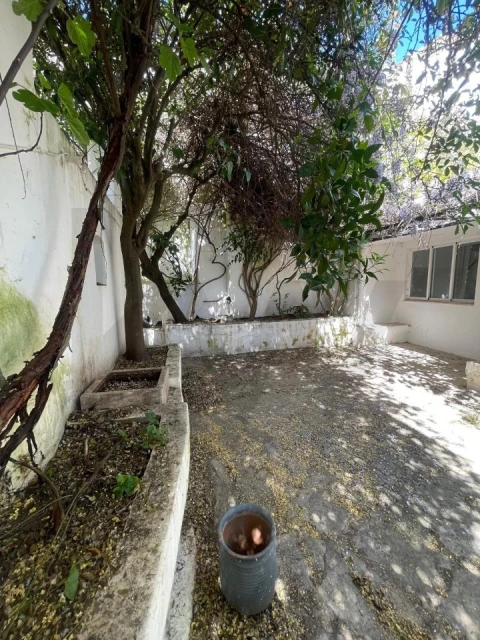 Moradia T3 para Venda em São Vicente e Ventosa