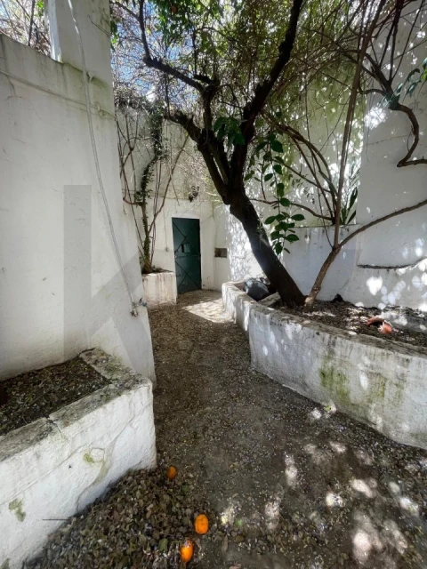 Moradia T3 para Venda em São Vicente e Ventosa