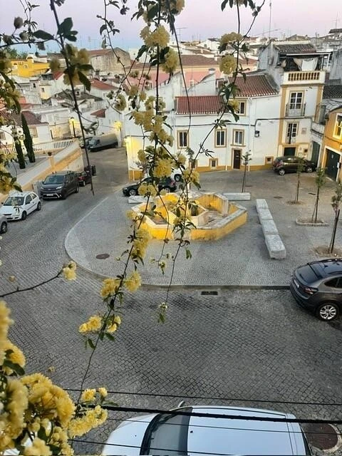 Moradia T3 para Venda em São Vicente e Ventosa