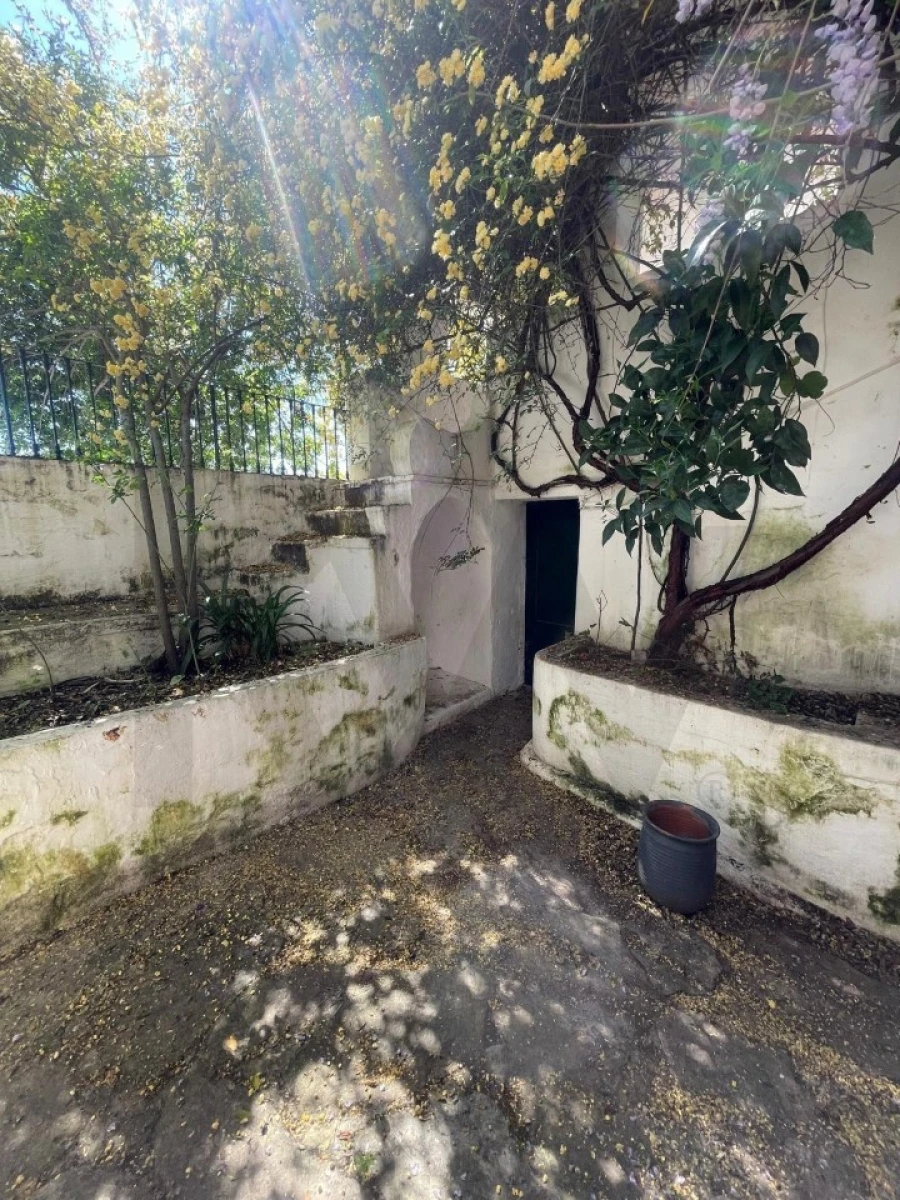 Moradia T3 para Venda em São Vicente e Ventosa Foto 41